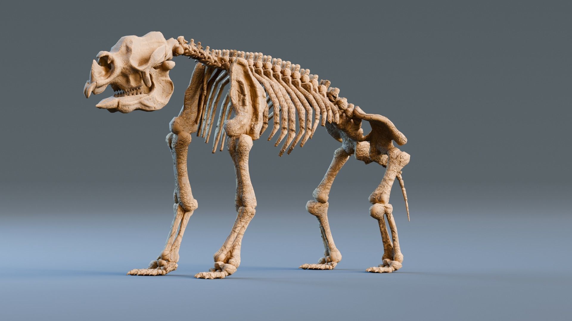 Relistic Mammals Fossil - Diprotodon Low-poly 3D model_1