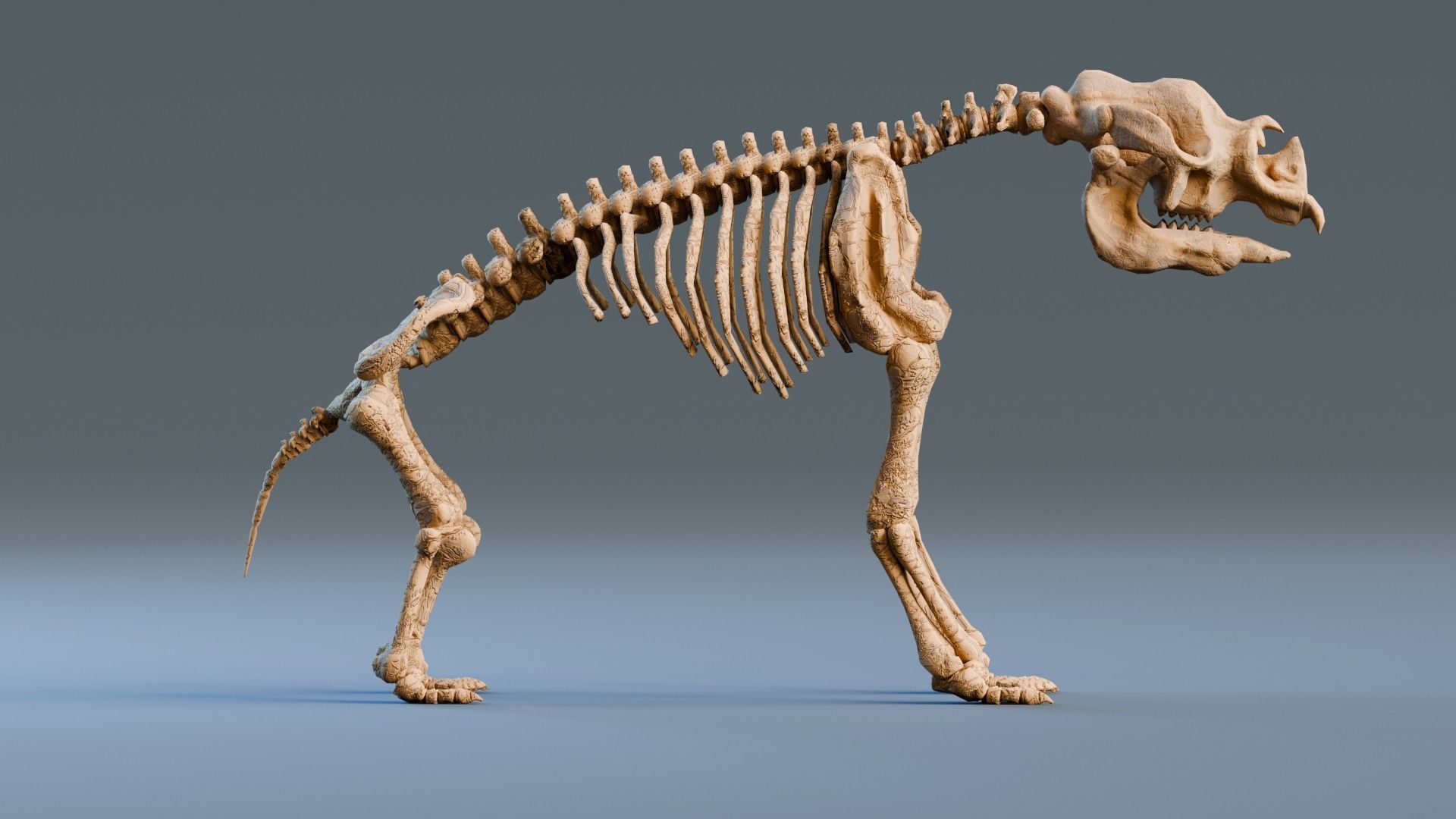 Relistic Mammals Fossil - Diprotodon Low-poly 3D model_4
