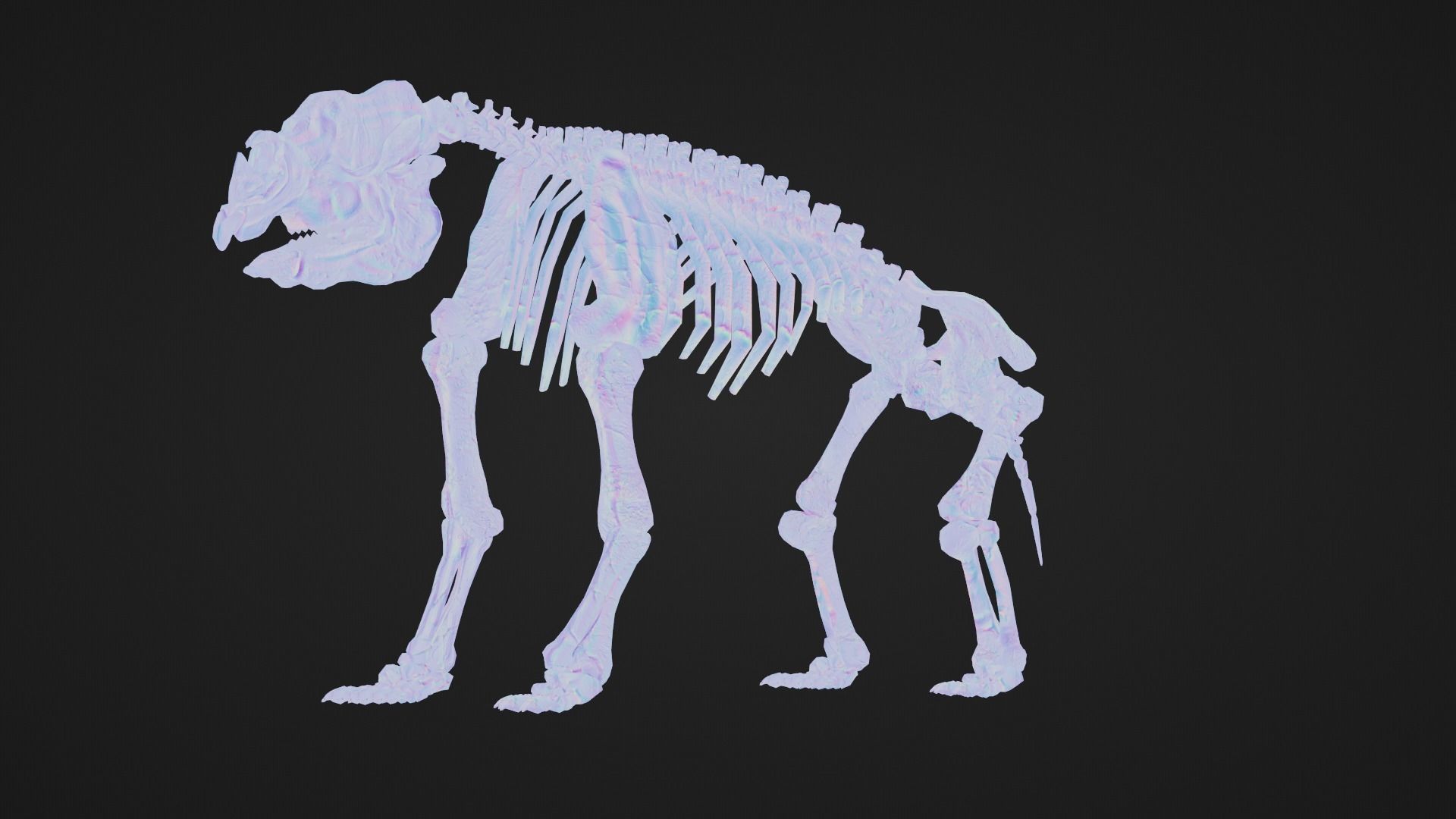 Relistic Mammals Fossil - Diprotodon Low-poly 3D model_9