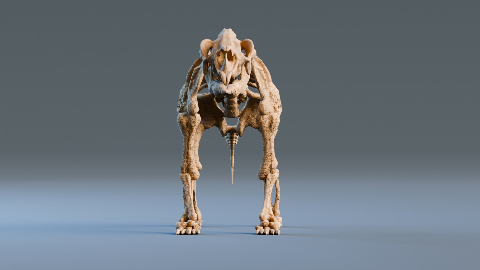 Relistic Mammals Fossil - Diprotodon Low-poly 3D model_2