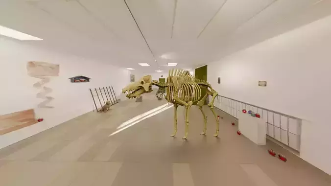 Realistic Mammals Fossil - Entelodont Low-poly 3D model