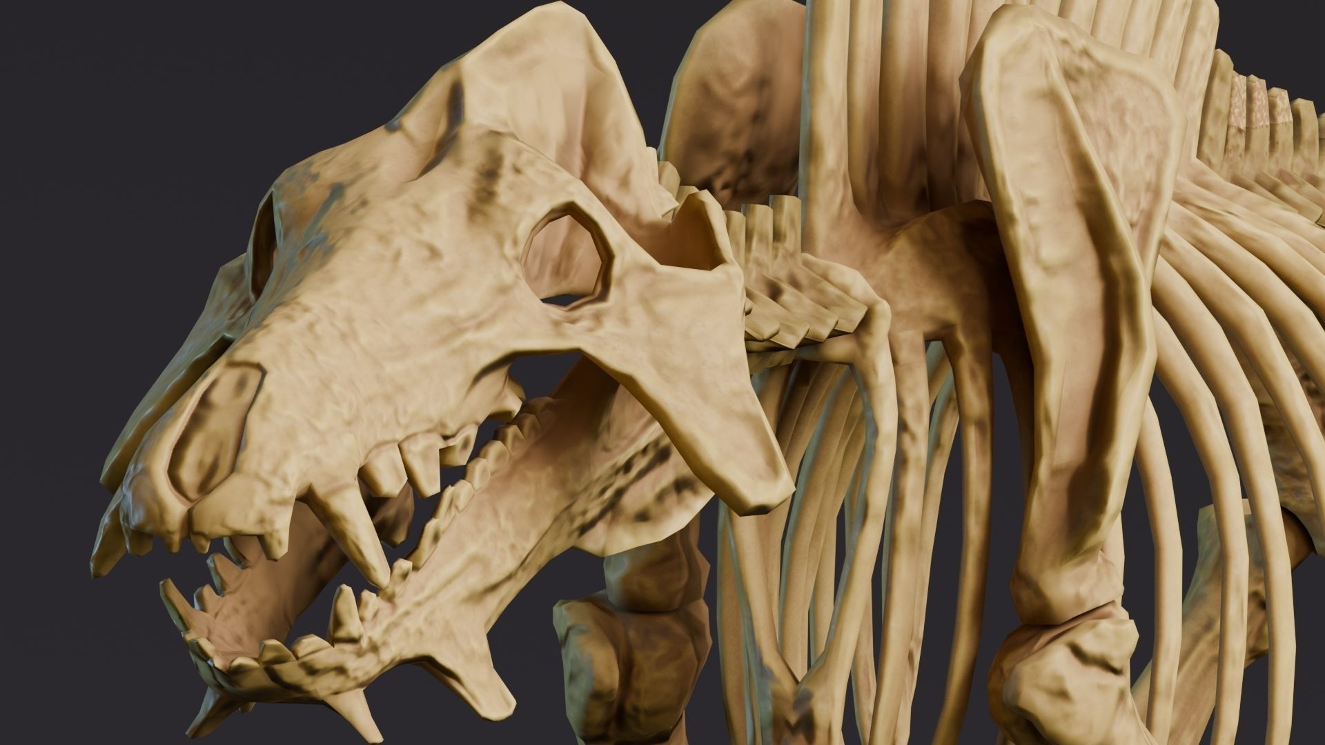 Realistic Mammals Fossil - Entelodont Low-poly 3D model_7