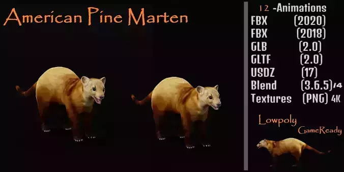American Pine Marten Low-poly 3D model
