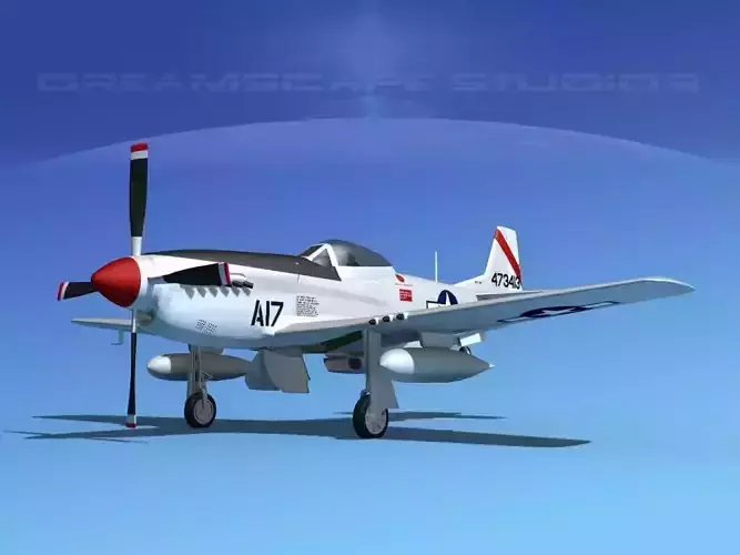 P-51D Mustang Fort Meyers