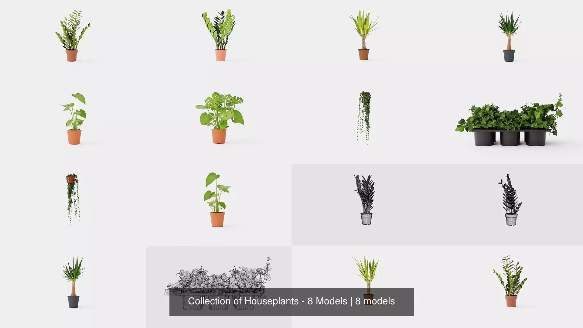 Collection of Houseplants - 8 Models _0