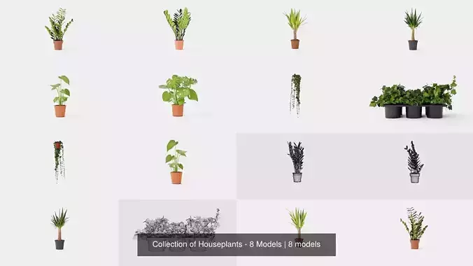 Collection of Houseplants - 8 Models 