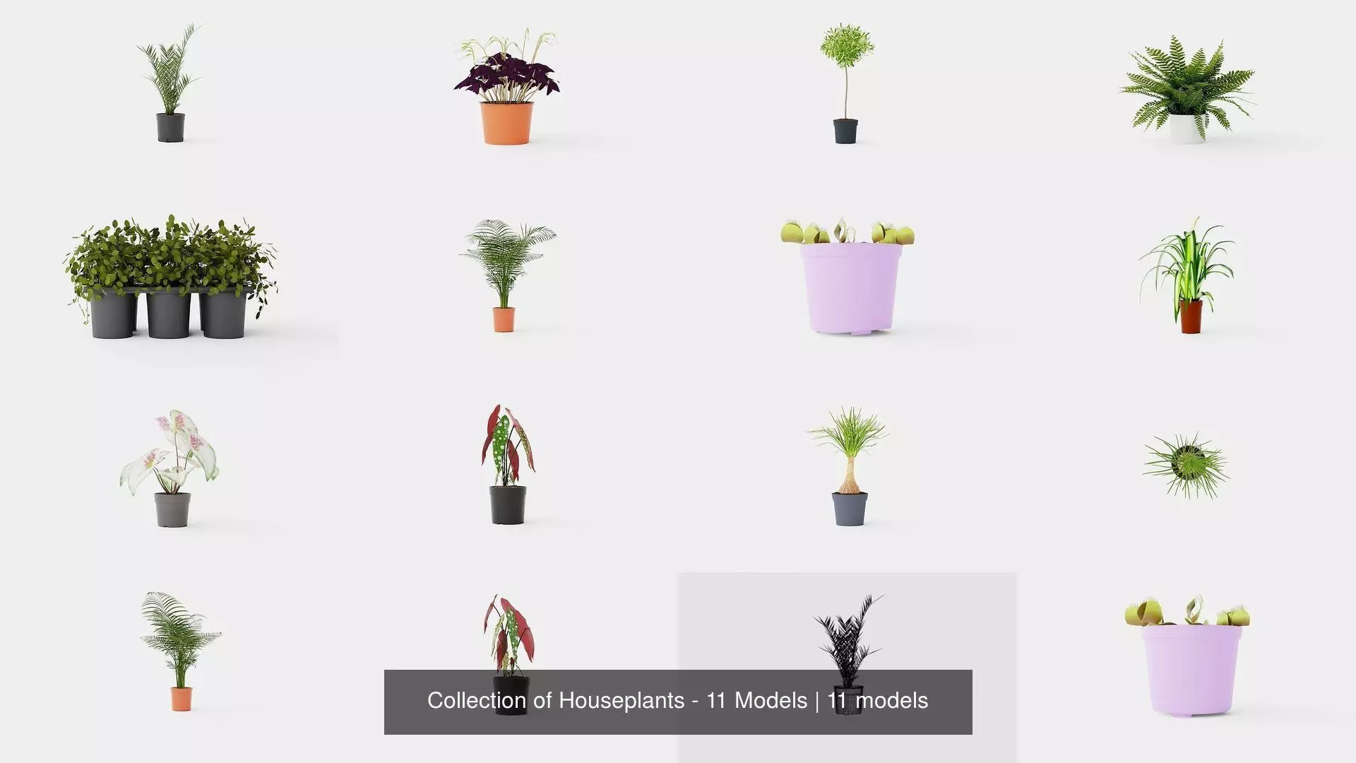 Collection of Houseplants - 11 Models _0