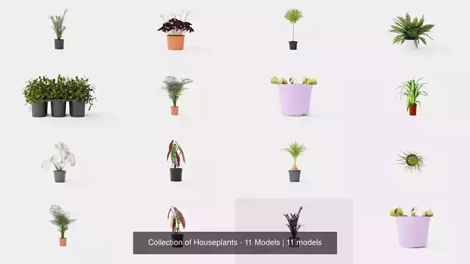 Collection of Houseplants - 11 Models 