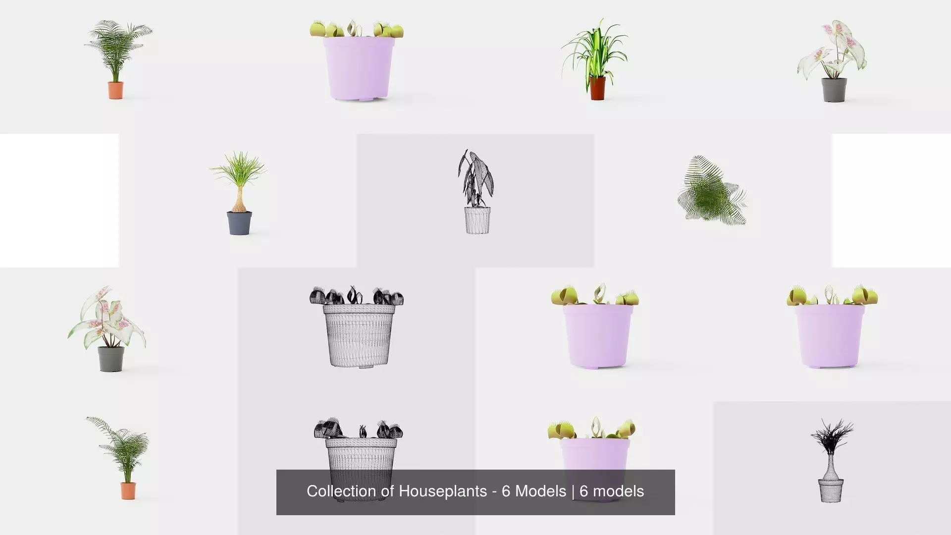 Collection of Houseplants - 6 Models _0