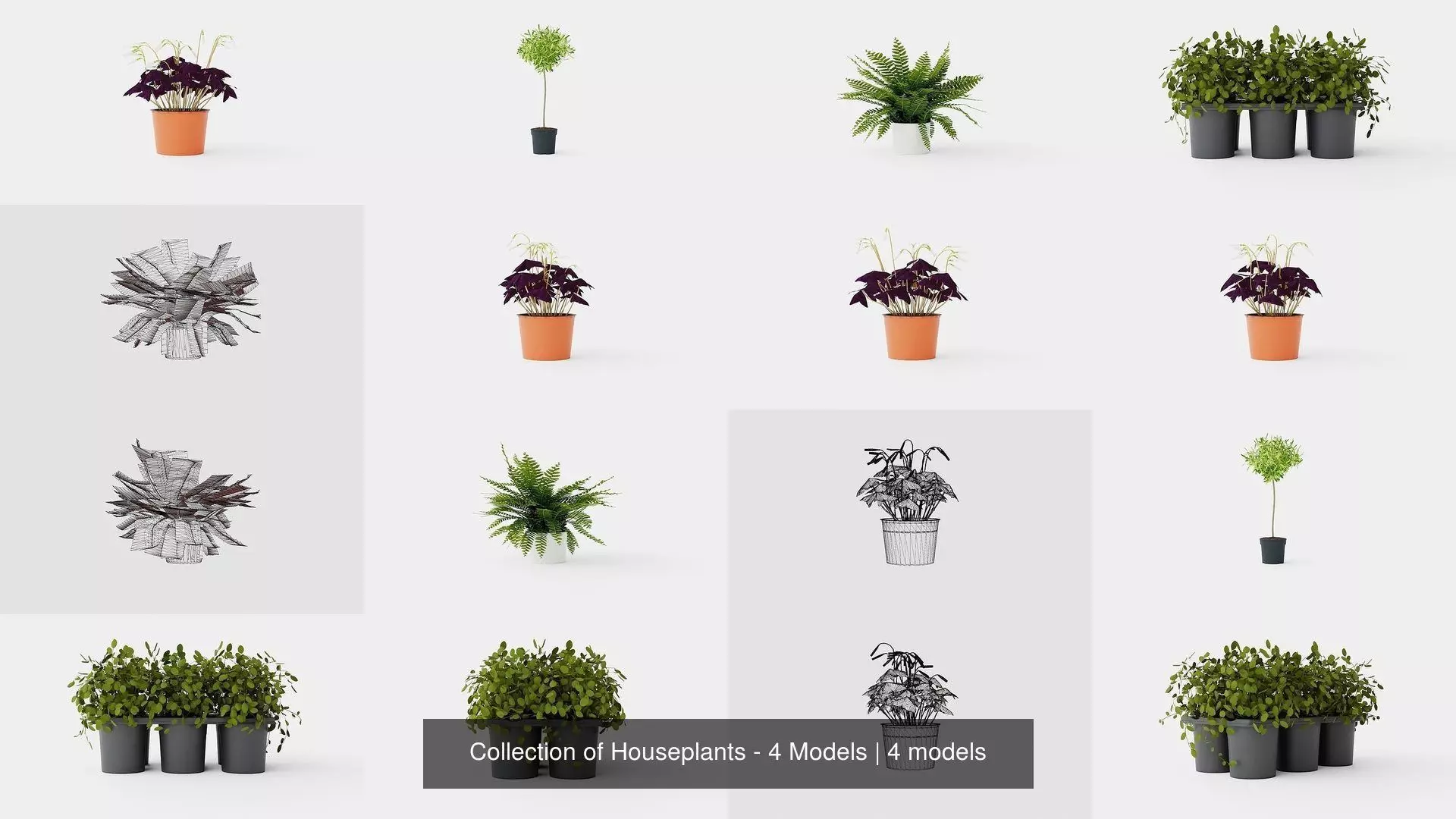 Collection of Houseplants - 4 Models _0
