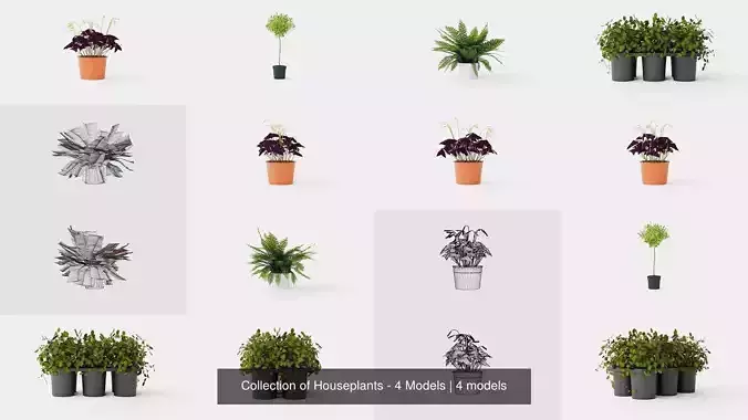 Collection of Houseplants - 4 Models 