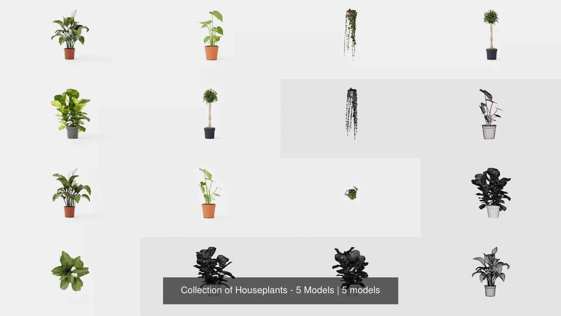 Collection of Houseplants - 5 Models _0