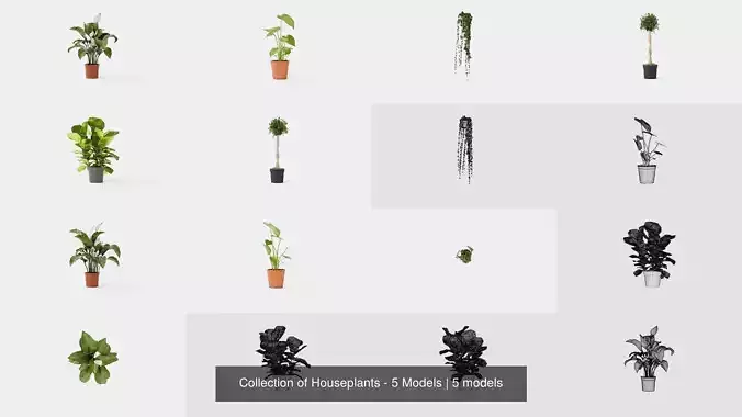 Collection of Houseplants - 5 Models 
