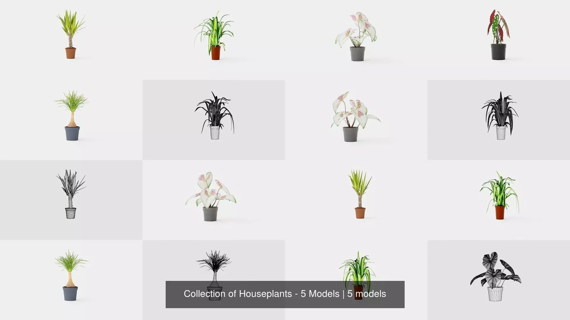 Collection of Houseplants - 5 Models _0