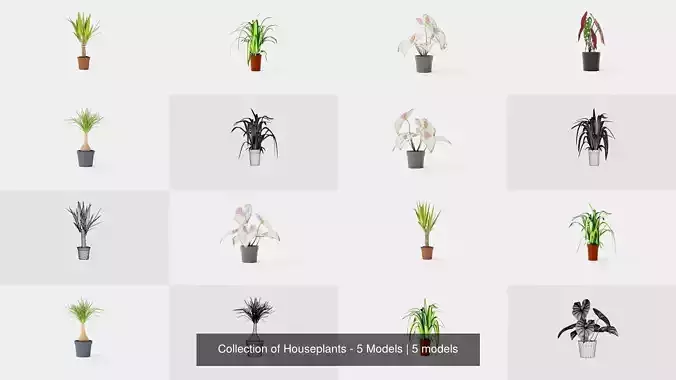 Collection of Houseplants - 5 Models 