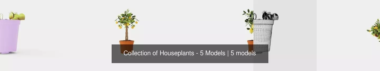 Collection of Houseplants - 5 Models _0