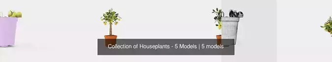 Collection of Houseplants - 5 Models 