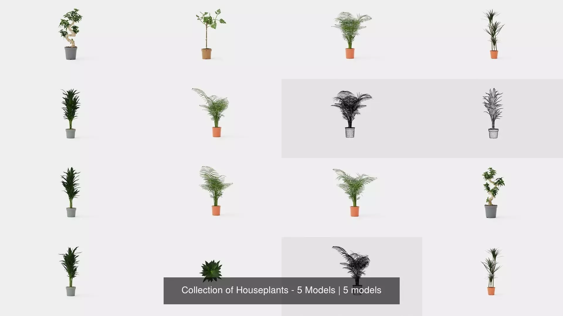 Collection of Houseplants - 5 Models _0