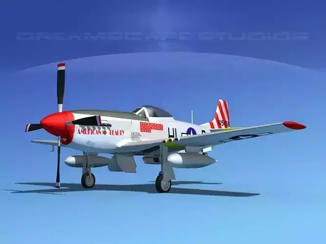 P-51D Mustang American Beauty