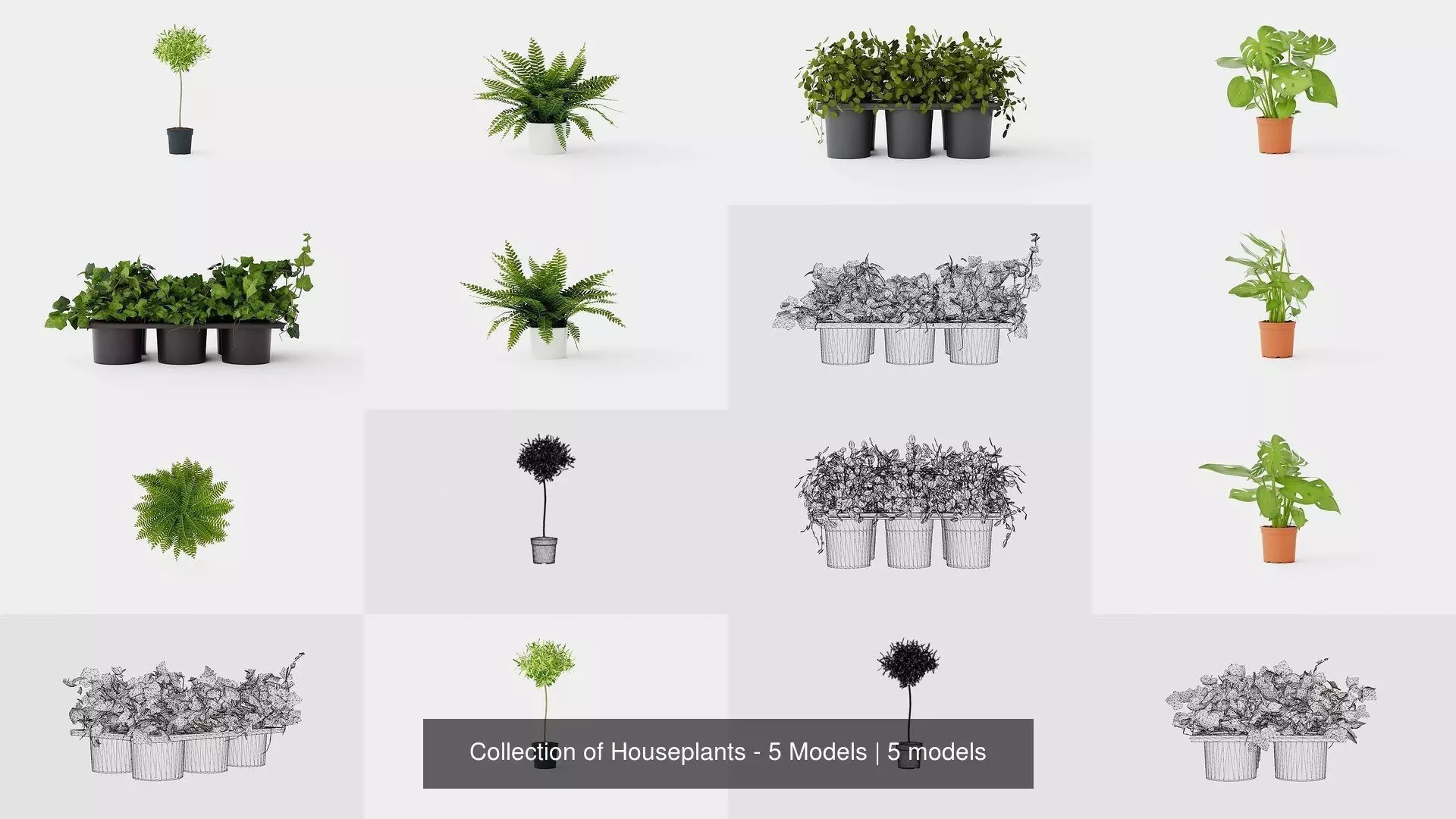 Collection of Houseplants - 5 Models _0