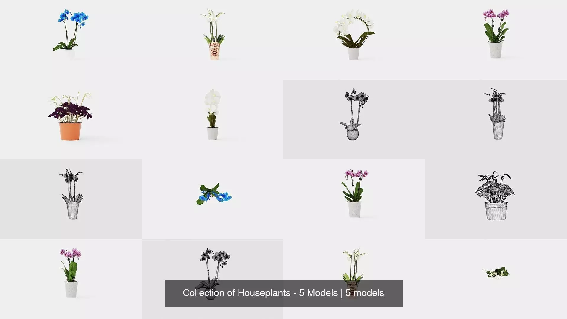 Collection of Houseplants - 5 Models _0
