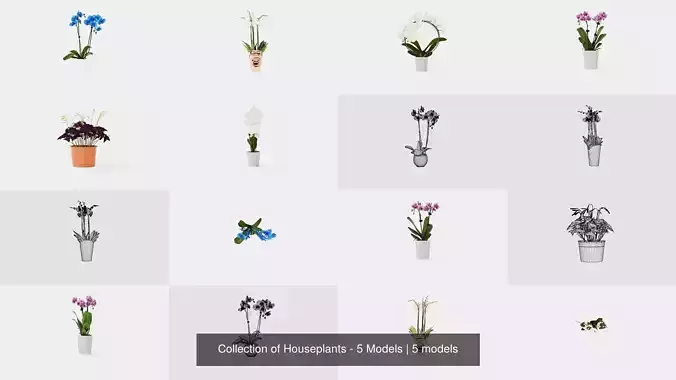 Collection of Houseplants - 5 Models 