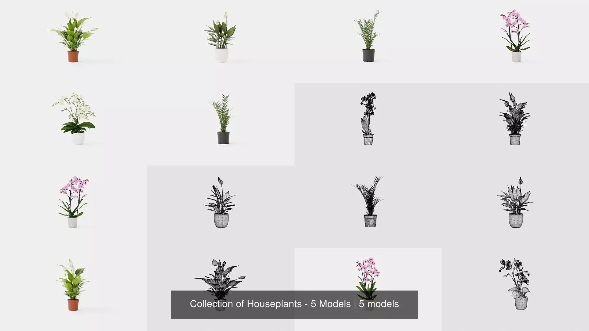 Collection of Houseplants - 5 Models _0
