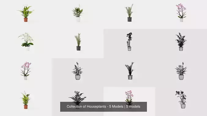Collection of Houseplants - 5 Models 
