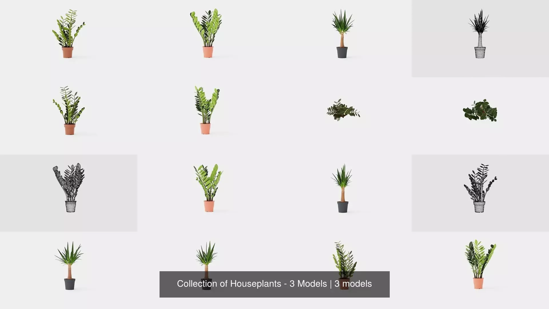 Collection of Houseplants - 3 Models _0
