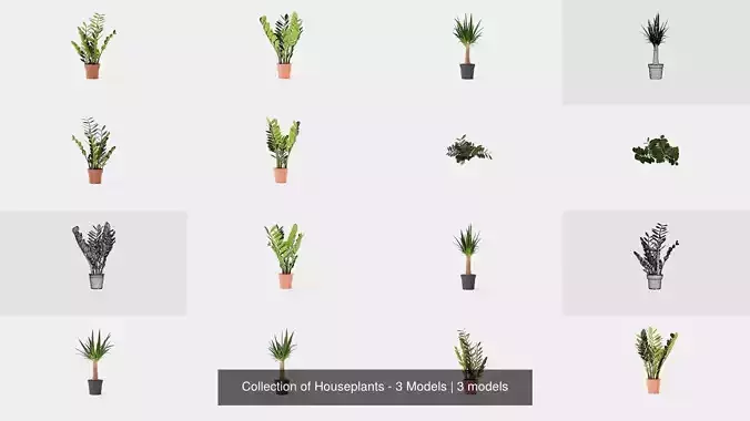 Collection of Houseplants - 3 Models 
