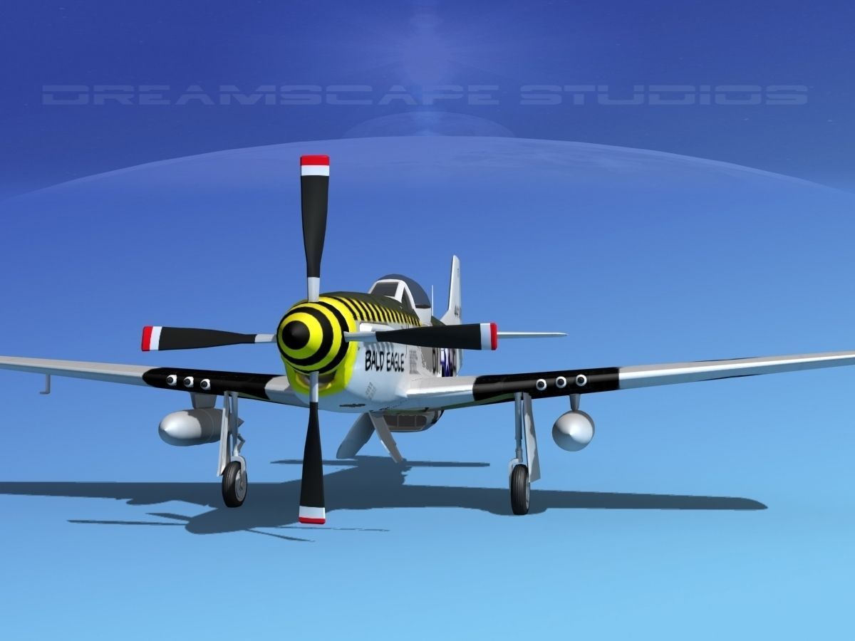 P-51D Mustang Bald Eagle 3D model_3