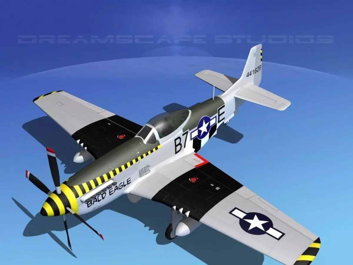 P-51D Mustang Bald Eagle 3D model_0