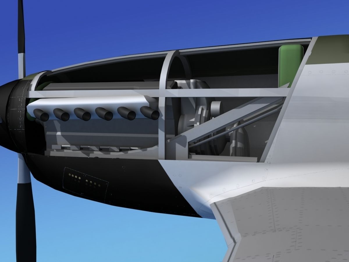 P-51D Mustang Bald Eagle 3D model_13