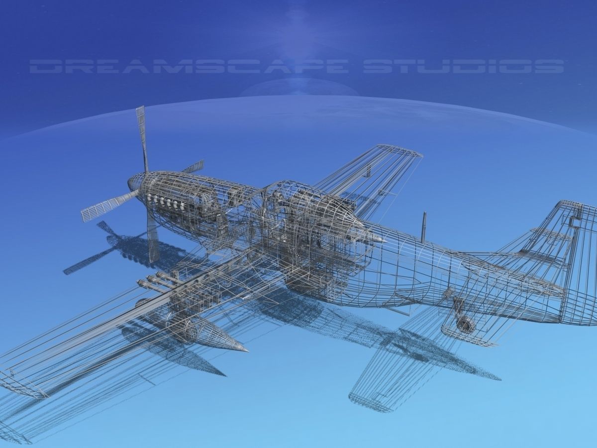 P-51D Mustang Bald Eagle 3D model_18