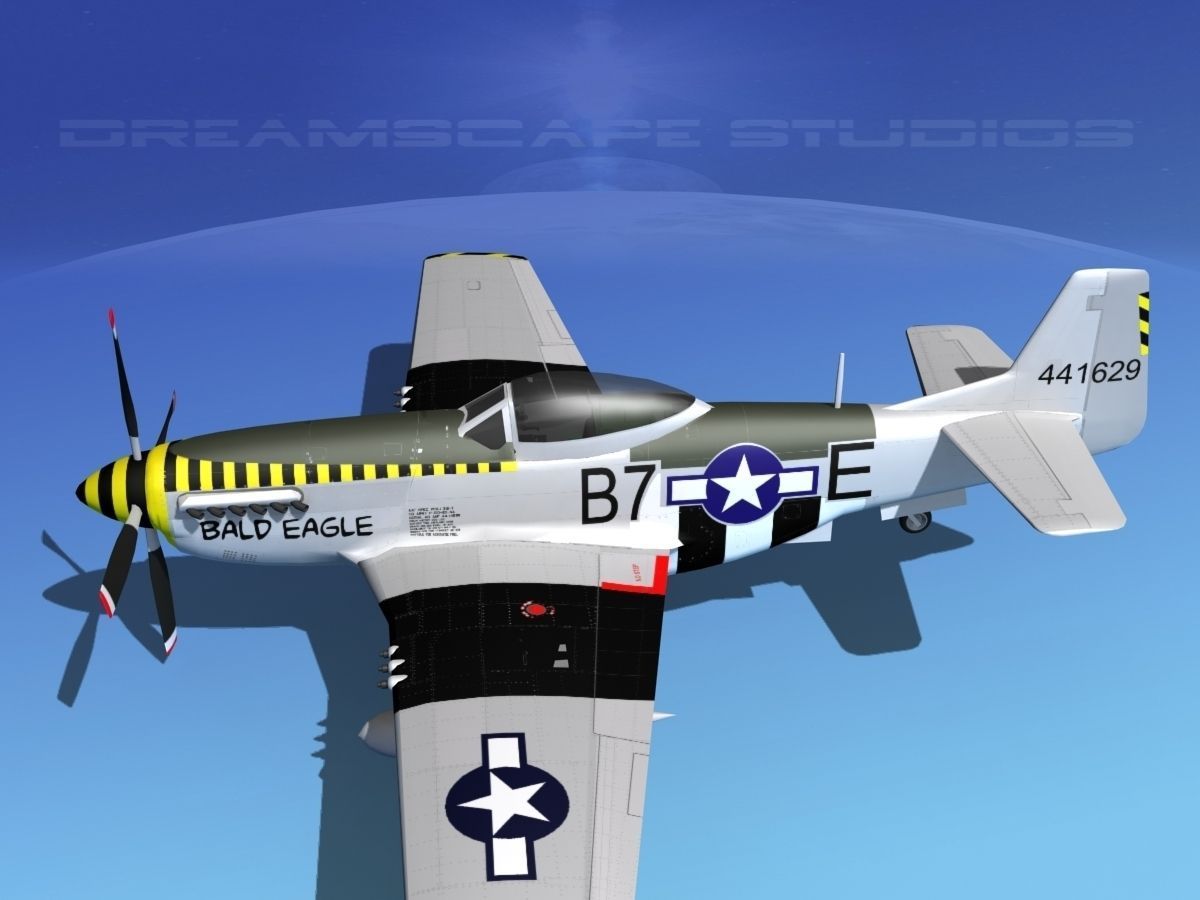 P-51D Mustang Bald Eagle 3D model_11