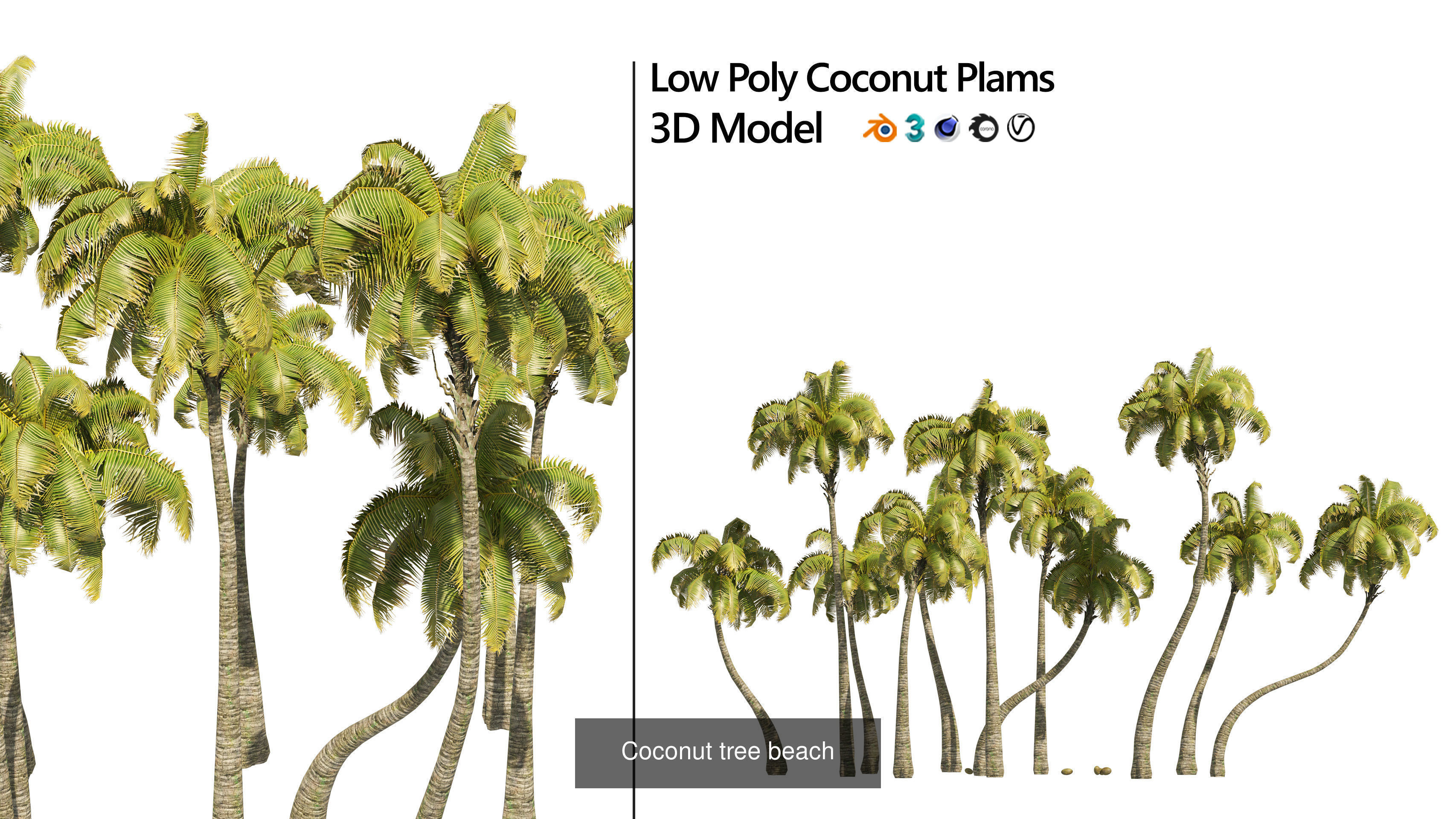 Outdoor Palms 3d Pack Collection _9