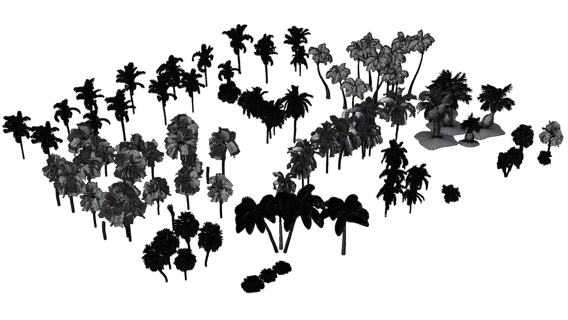 Outdoor Palms 3d Pack Collection _25