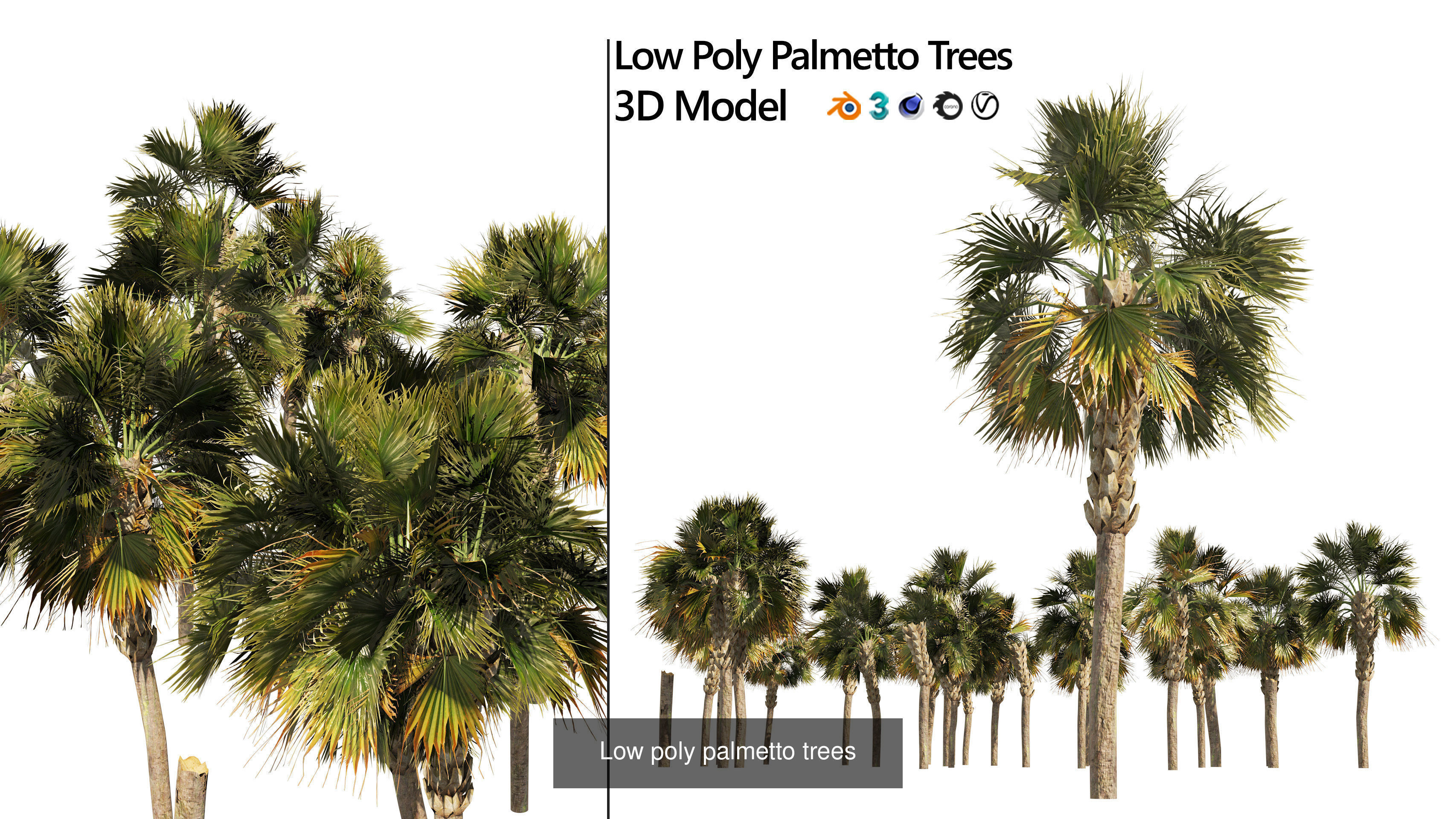 Outdoor Palms 3d Pack Collection _8