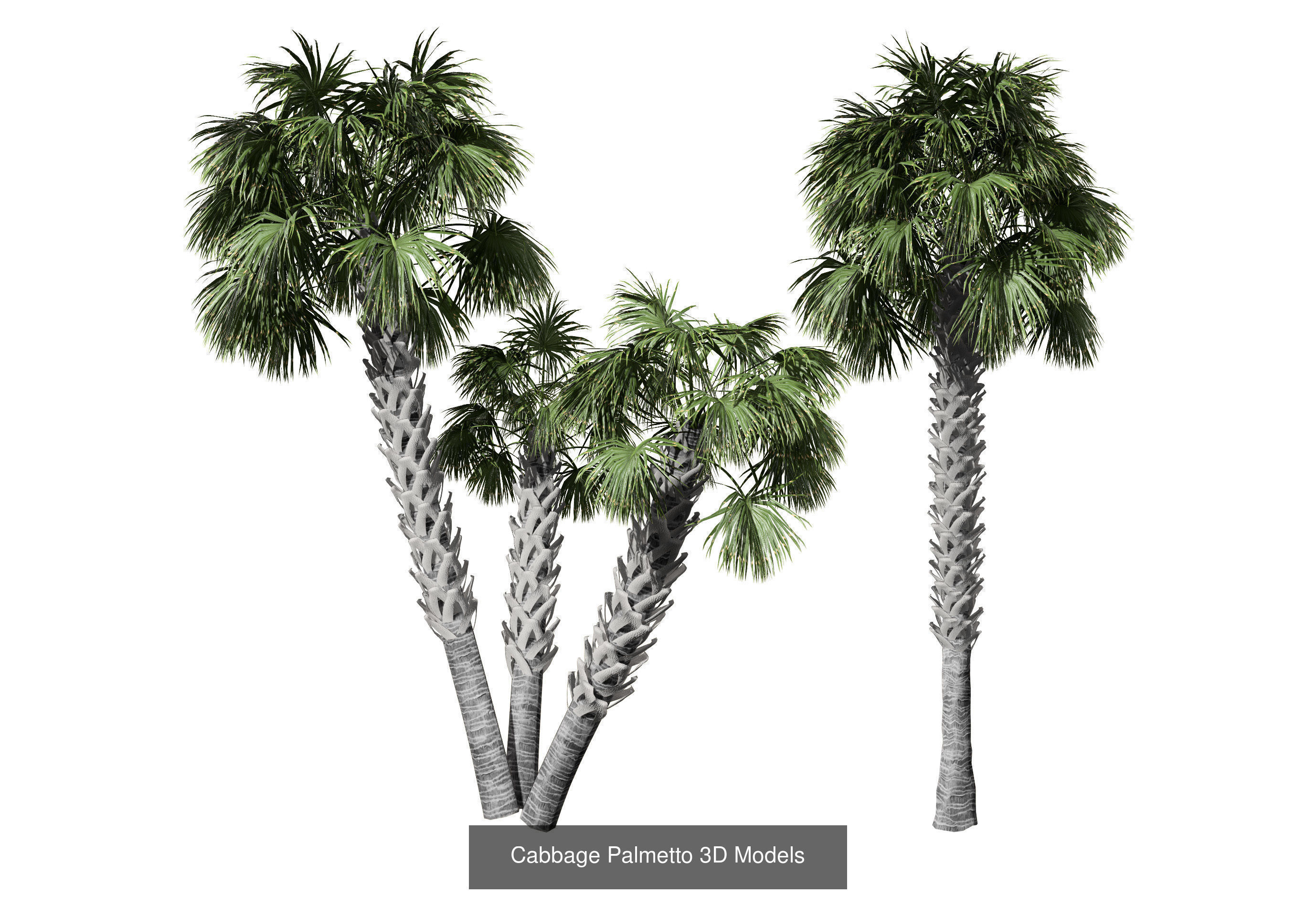 Outdoor Palms 3d Pack Collection _17