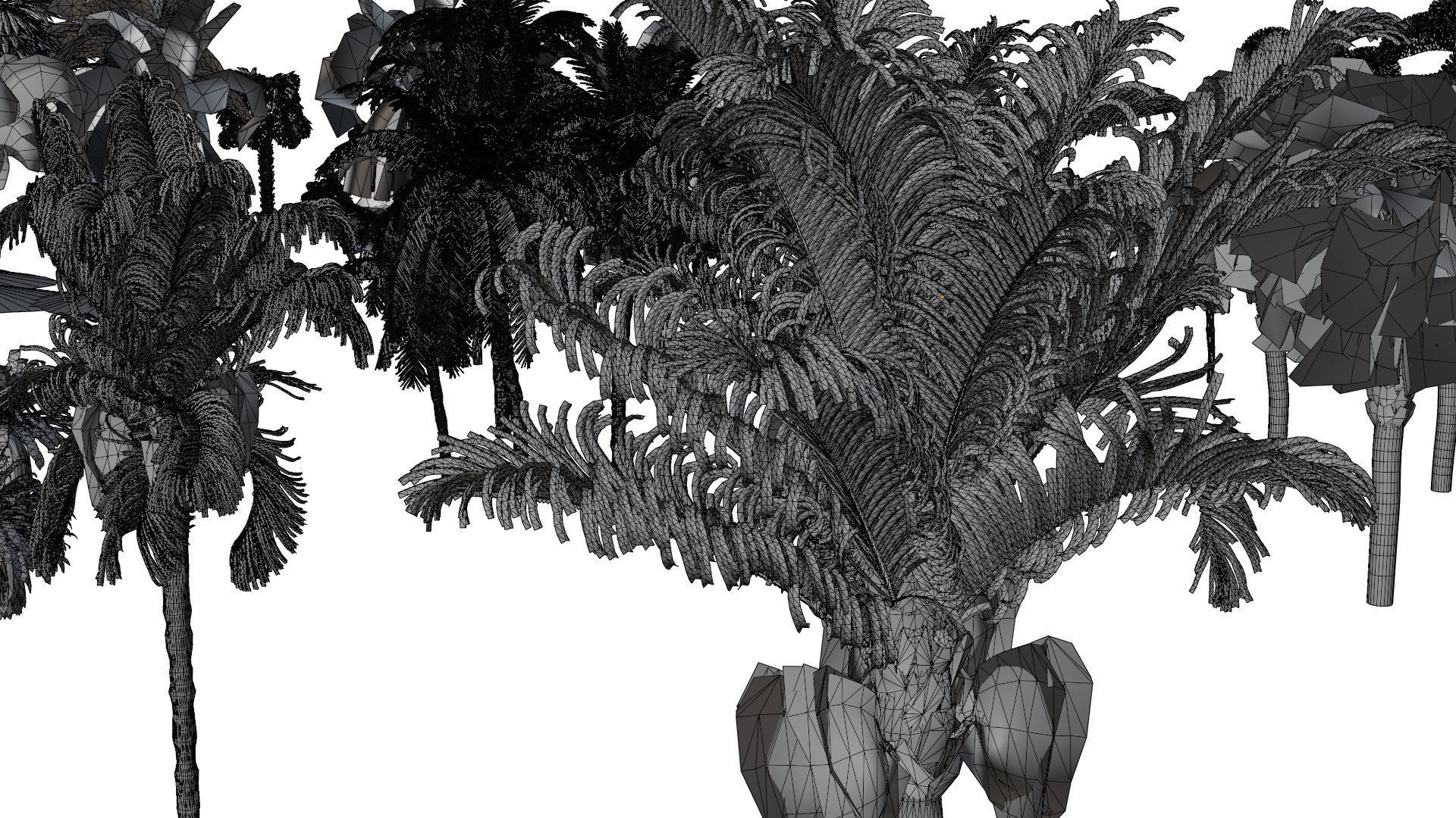 Outdoor Palms 3d Pack Collection _22