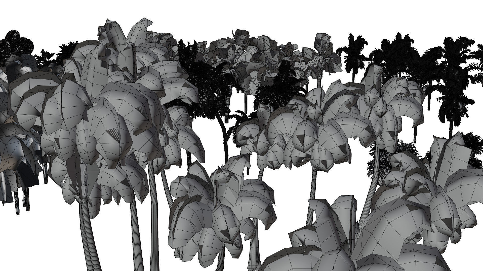 Outdoor Palms 3d Pack Collection _23