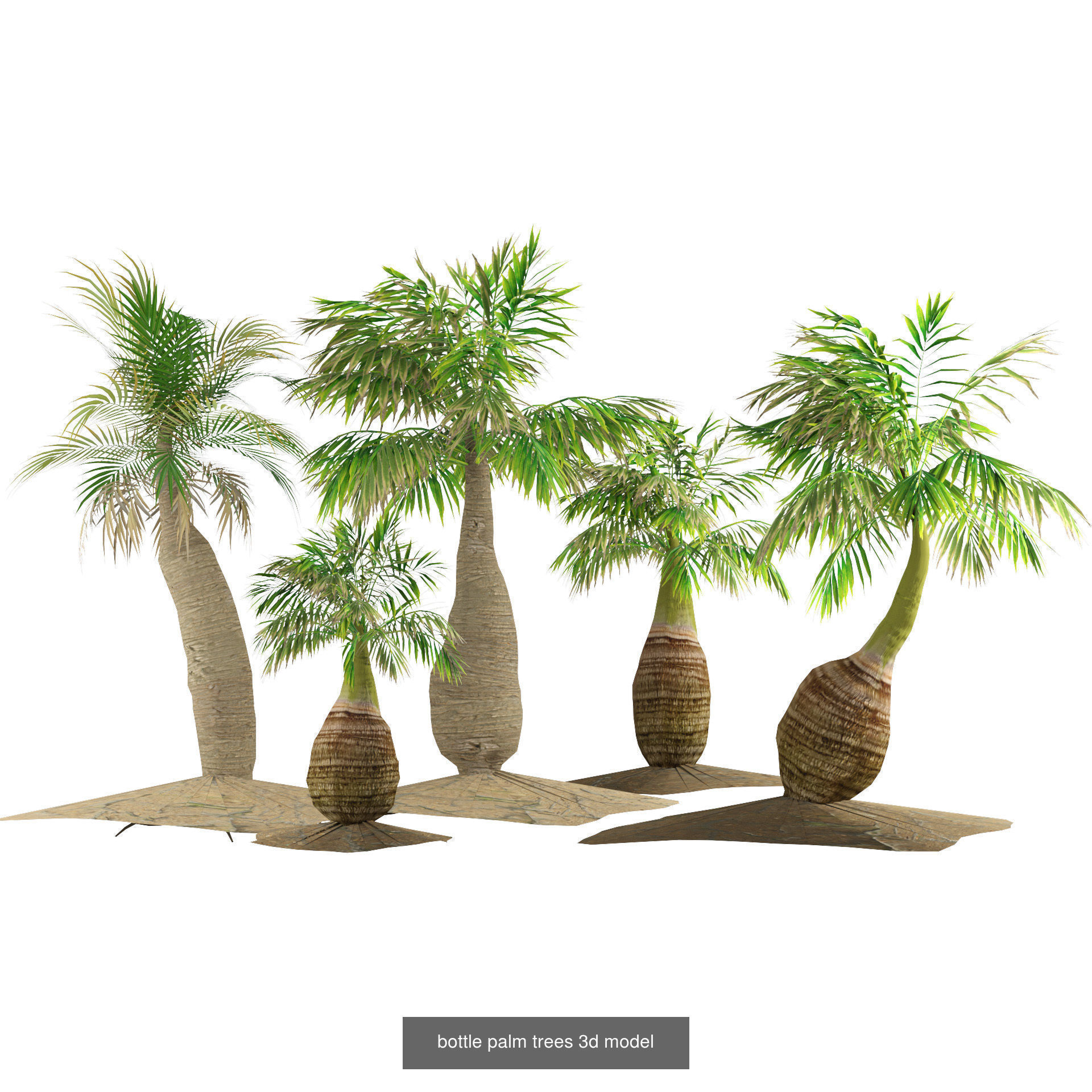 Outdoor Palms 3d Pack Collection _14