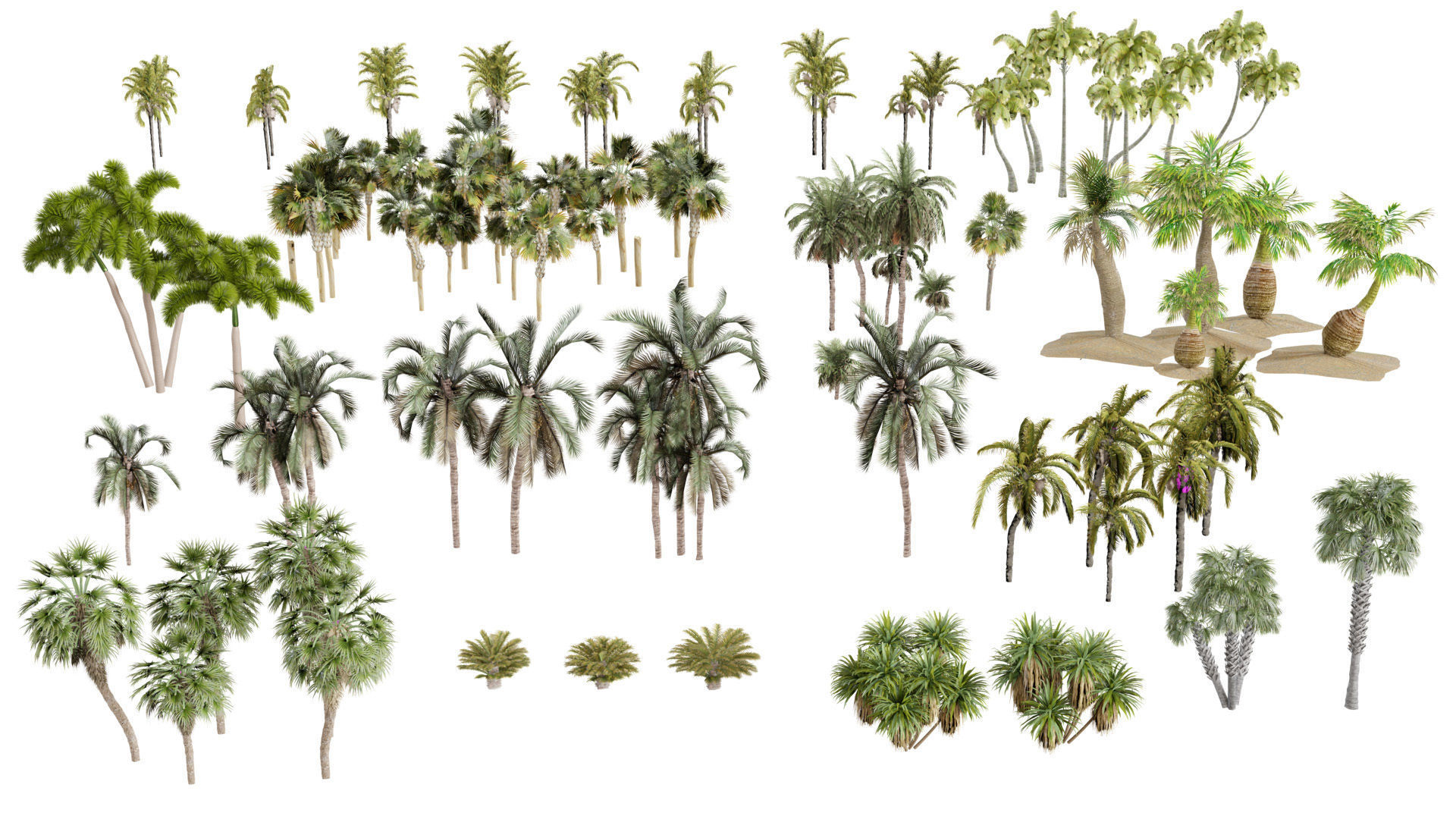 Outdoor Palms 3d Pack Collection _19