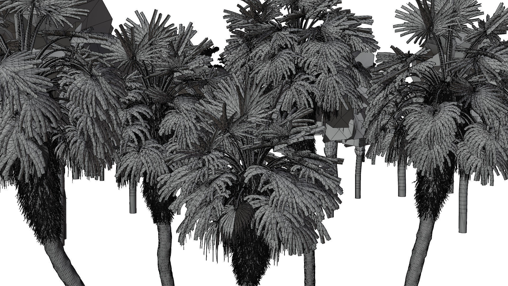 Outdoor Palms 3d Pack Collection _24