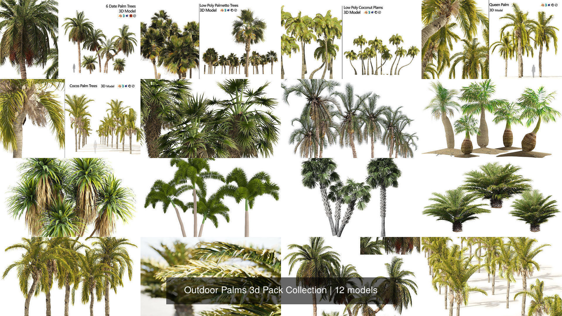 Outdoor Palms 3d Pack Collection _0
