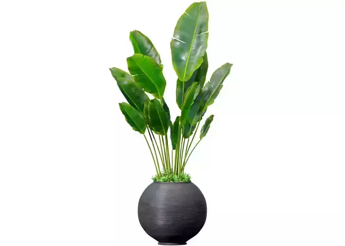 Decorative fern in a modern round vase potted flowerpot Art Deco
