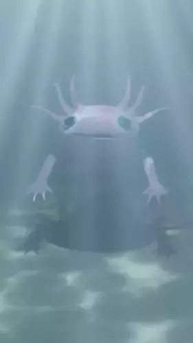 Axolotl Low-poly 3D model