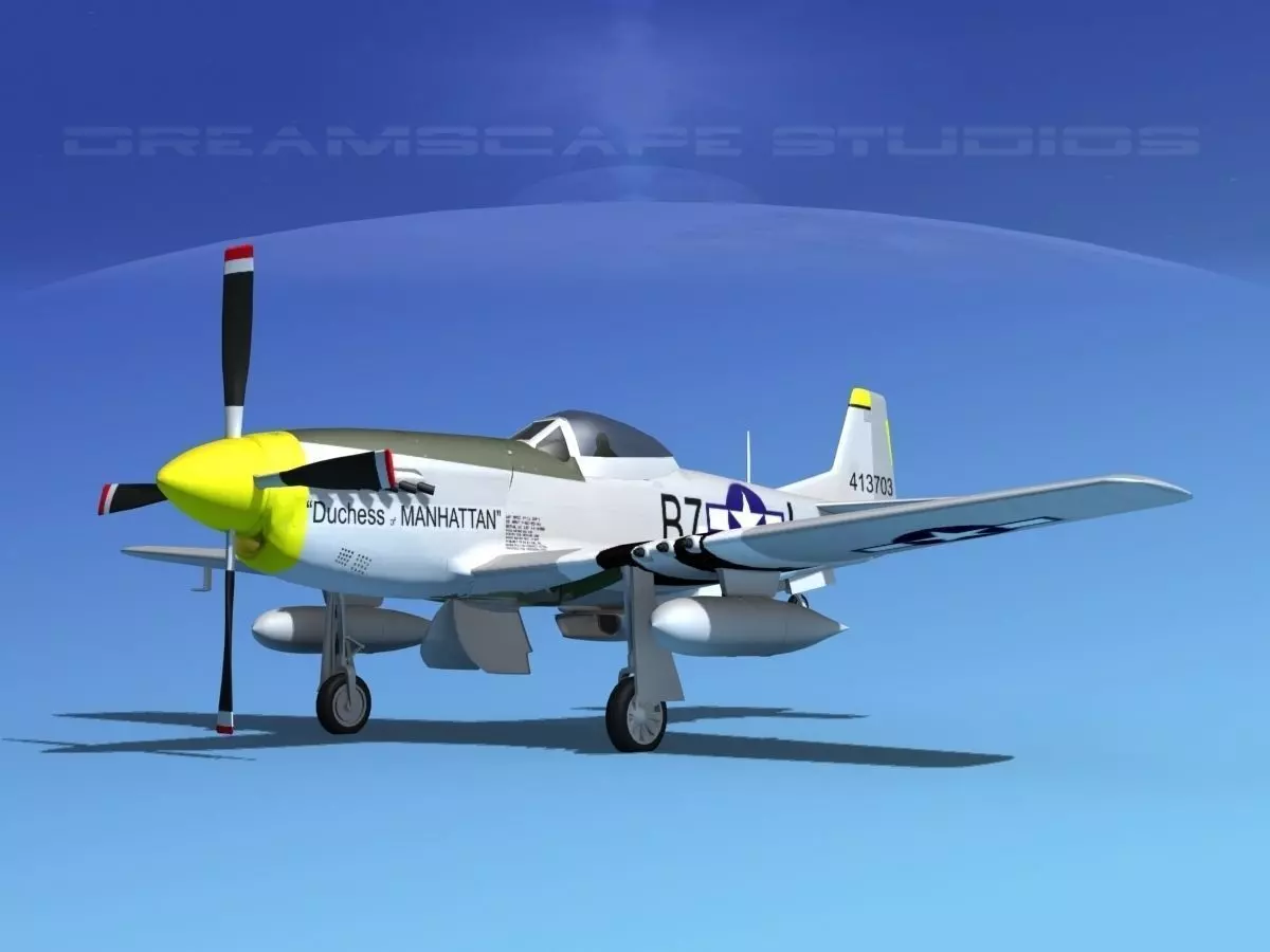 P-51D Mustang Dutchess of Manhattan 3D model_0
