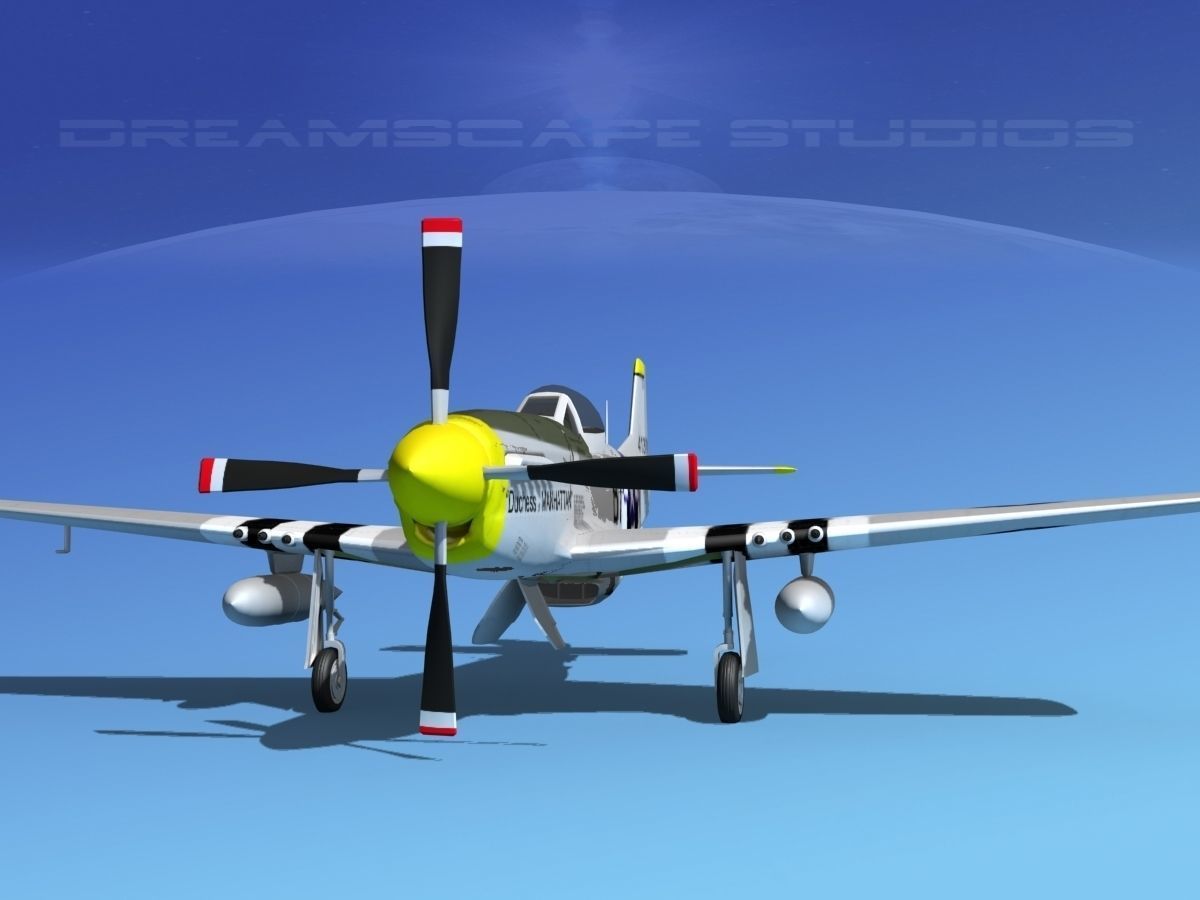 P-51D Mustang Dutchess of Manhattan 3D model_1