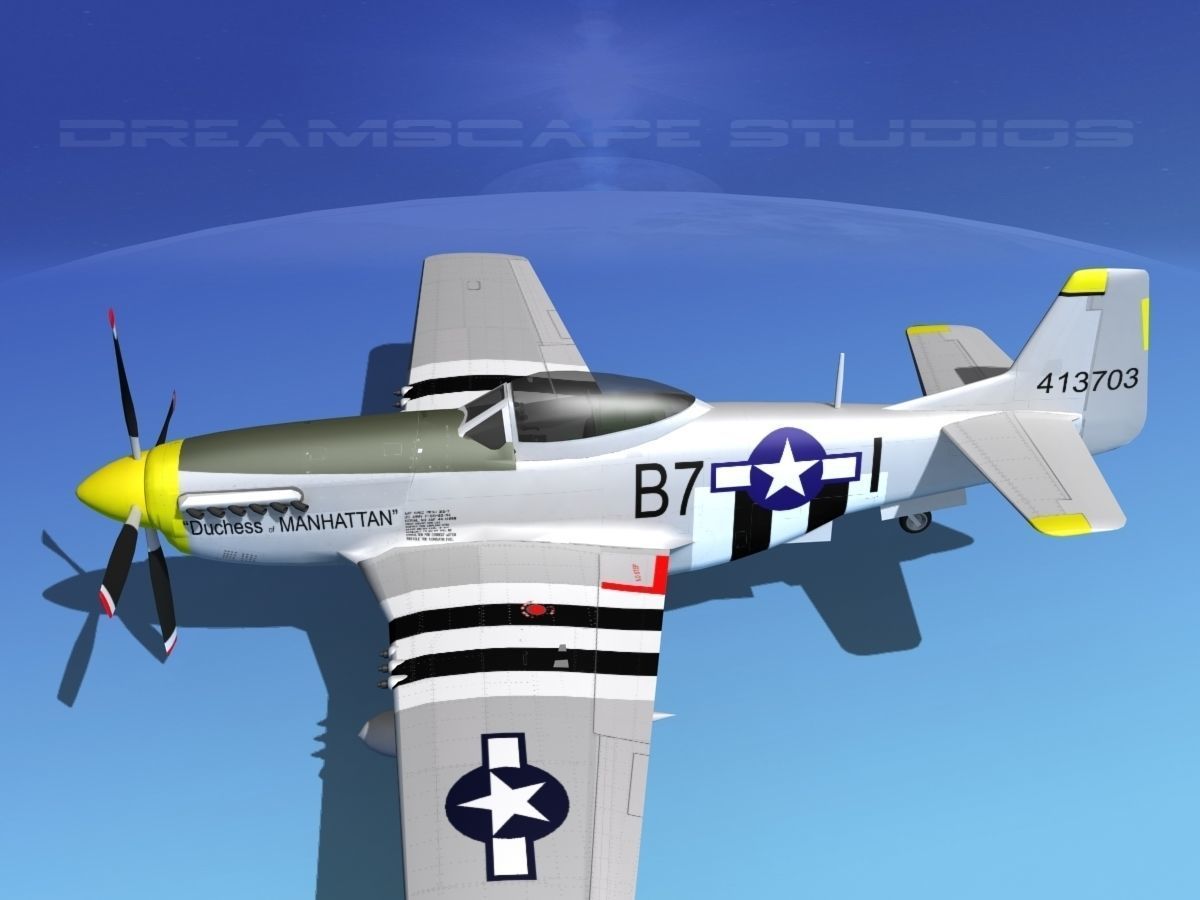 P-51D Mustang Dutchess of Manhattan 3D model_9